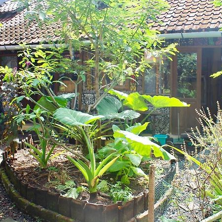 Farmer'S Yard Hostel Canggu Exteriér fotografie